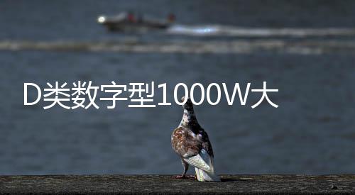 D類(lèi)數(shù)字型1000W大功率發(fā)燒級(jí)超重純低音無(wú)源雙音圈低音炮功放
