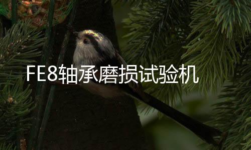FE8軸承磨損試驗機