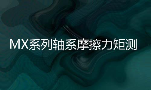 MX系列軸系摩擦力矩測(cè)量?jī)x