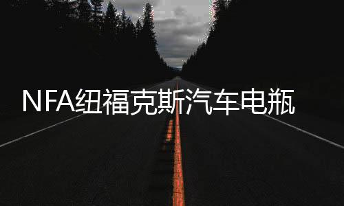 NFA紐?？怂蛊囯娖砍潆娖?2V 2/10/25A大功率蓄電池快速充電機