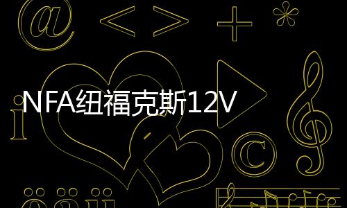 NFA紐?？怂?2V 25A全自動(dòng)汽車電瓶充電器蓄電池充電機(jī) 引擎啟動(dòng)