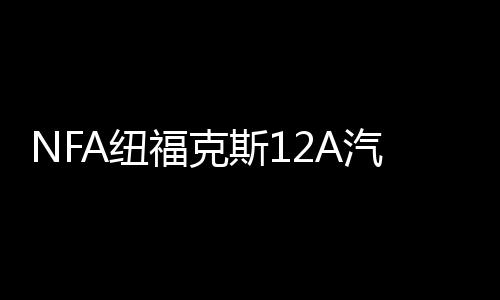 NFA紐福克斯12A汽車電瓶充電器12V數顯車載蓄電池充電器電瓶修復