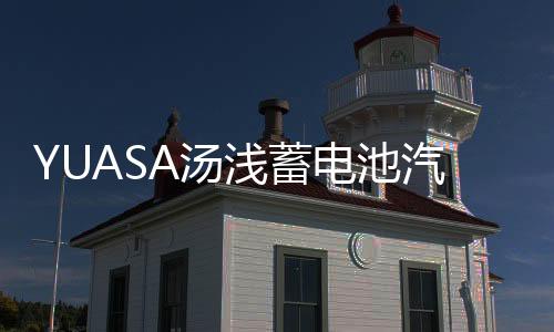 YUASA湯淺蓄電池汽車電瓶帕杰羅藍(lán)瑟驪威飛度逍客奇駿天語雨燕ES