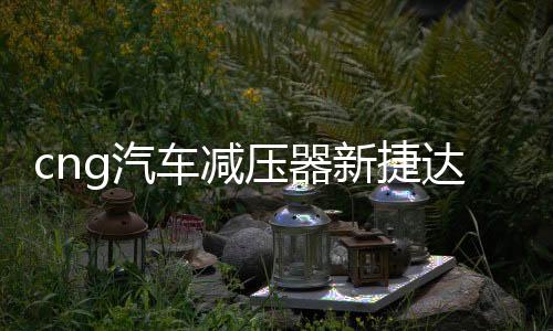 cng汽車減壓器新捷達新桑塔納出租車替代原車減壓閥天然氣配件