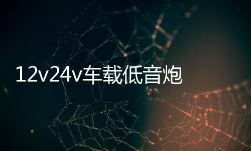 12v24v車載低音炮汽車貨車音響無線藍(lán)牙音箱220v家用大音量重低音