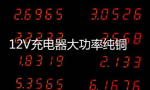 12V充電器大功率純銅24v老式100A汽車貨車家用小轎車電瓶沖充電機(jī)