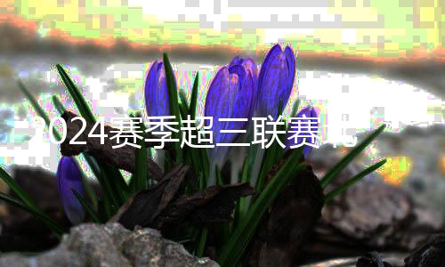 2024賽季超三聯(lián)賽北京爭霸賽落幕，無錫隊奪冠