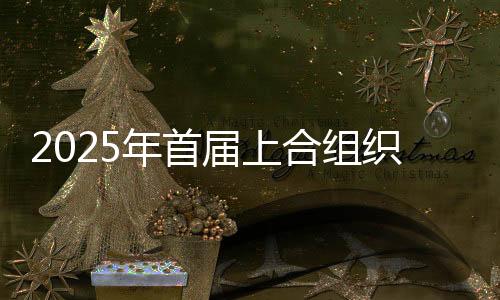 2025年首屆上合組織冰雪體育示范區(qū)青年拳擊邀請賽開幕